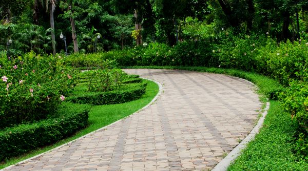 Paver Walkway Repair in Sarasota