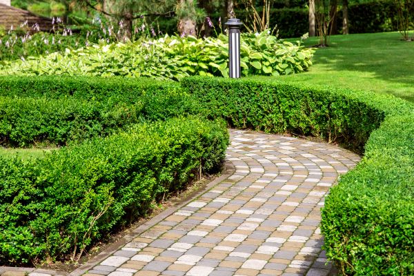 Paved Landscaping in Sarasota