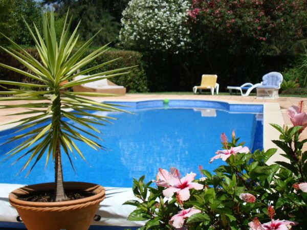 Pool Terrace Renovation in Sarasota