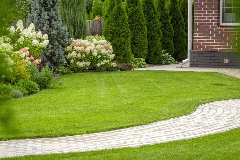 Paver Walkway Service